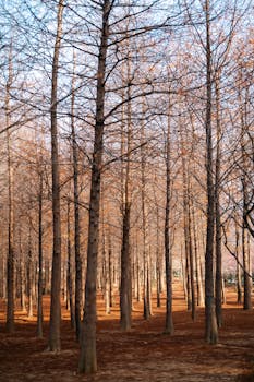  晚间资本市场动态扫描；多家企业推进重组与激励。 股票财经