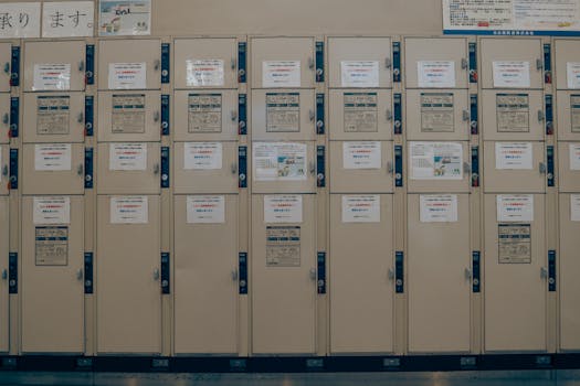 人口红利与教学形态：小班化如何重塑校园生态