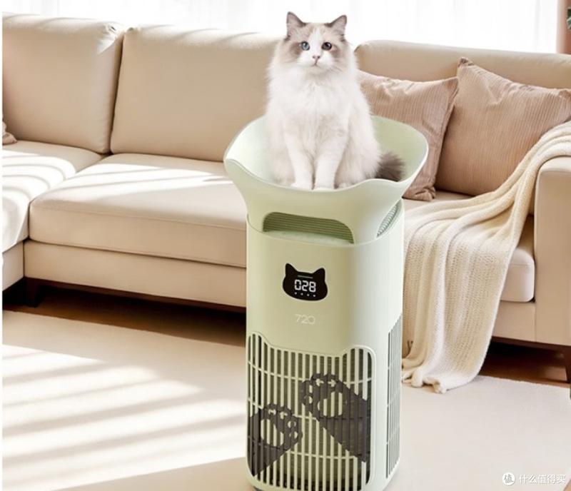 技术拆解！广州天河「当日接猫」猫舍的核心指标与选择逻辑