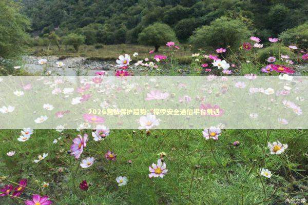 2026隐私保护趋势：探索安全通信平台机遇