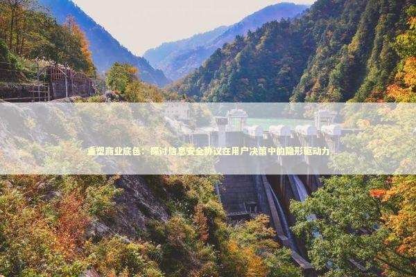 重塑商业底色：探讨信息安全协议在用户决策中的隐形驱动力 IT技术