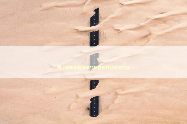 对上网安全有要求的朋友都在找这类工具 对上网安全有要求的朋友都在找这类工具 IT技术