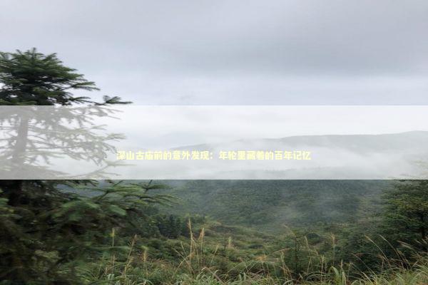 深山古庙前的意外发现：年轮里藏着的百年记忆 文化旅游