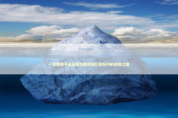 一家视频平台从版权危机到行业标杆的蜕变之路 新闻