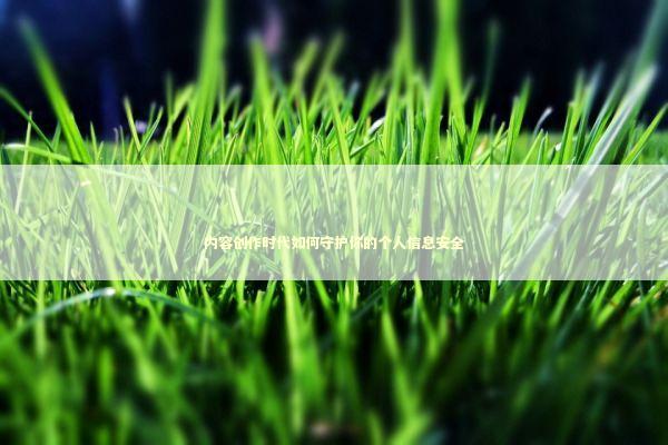 内容创作时代如何守护你的个人信息安全 IT技术