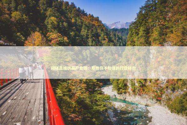 揭秘高端仿品产业链：那些你不知道的行业秘密 新闻