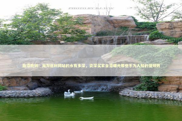 血泪教训：海淘返利网站的水有多深，资深买家含泪曝光那些不为人知的潜规则 新闻